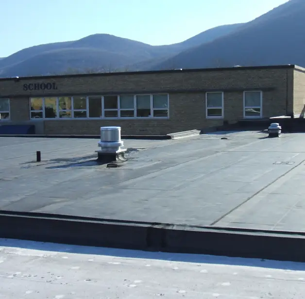 recent roof maintenance performed on Public school in New York