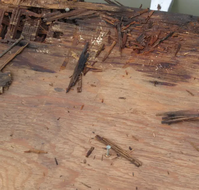 Roof decking damage on a asphalt shingle roof in New York