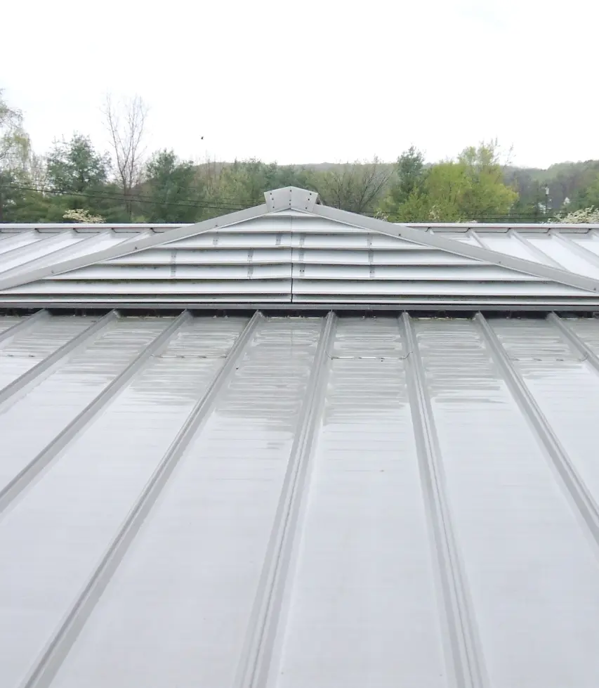 Metal Roof in New York