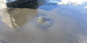 melted snow on a commercial flat roof that has led to a clogged drain.